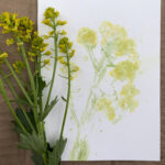 flower prints